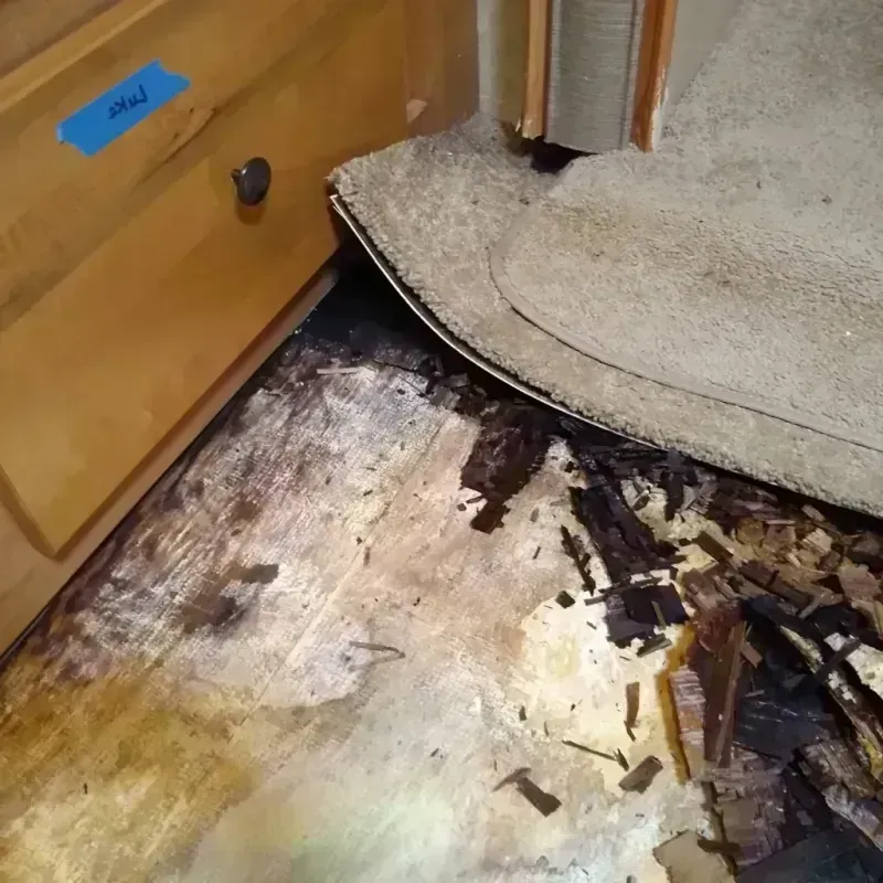 Wood Floor Water Damage in Belleair, FL